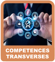 Transverses